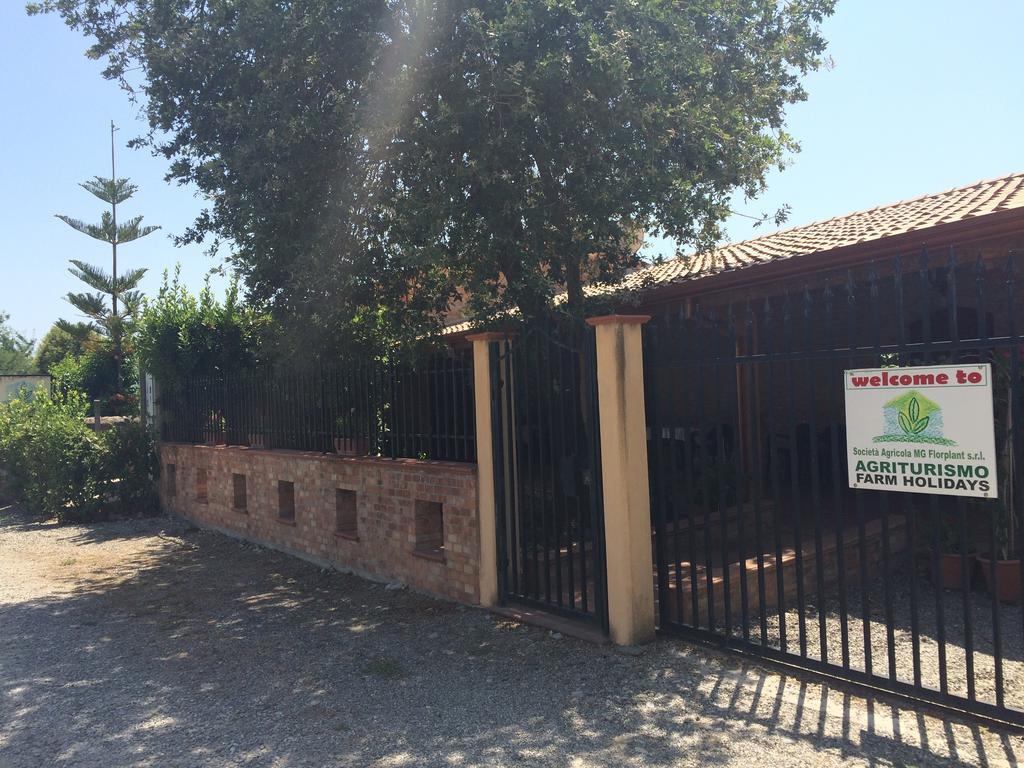 Societa Agricola Mg Florplant Villa Francavilla Marittima Exterior photo